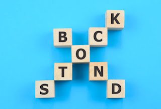 Bonds Vs. Stocks! Are Bonds Safer Than Stocks? Find Out Here! (#30)